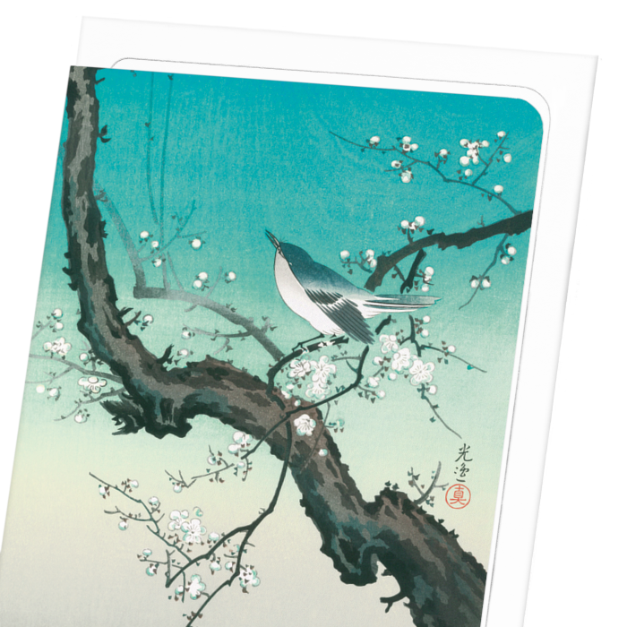 BUSH WARBLER AND PLUM BLOSSOMS: Japanese Greeting Card