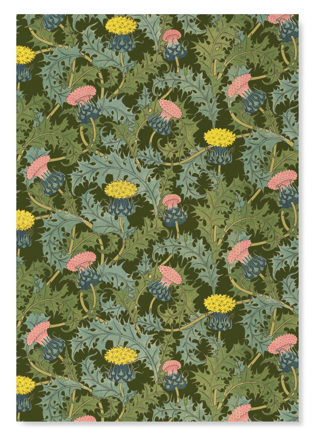 THISTLE (1897): Pattern Art Print