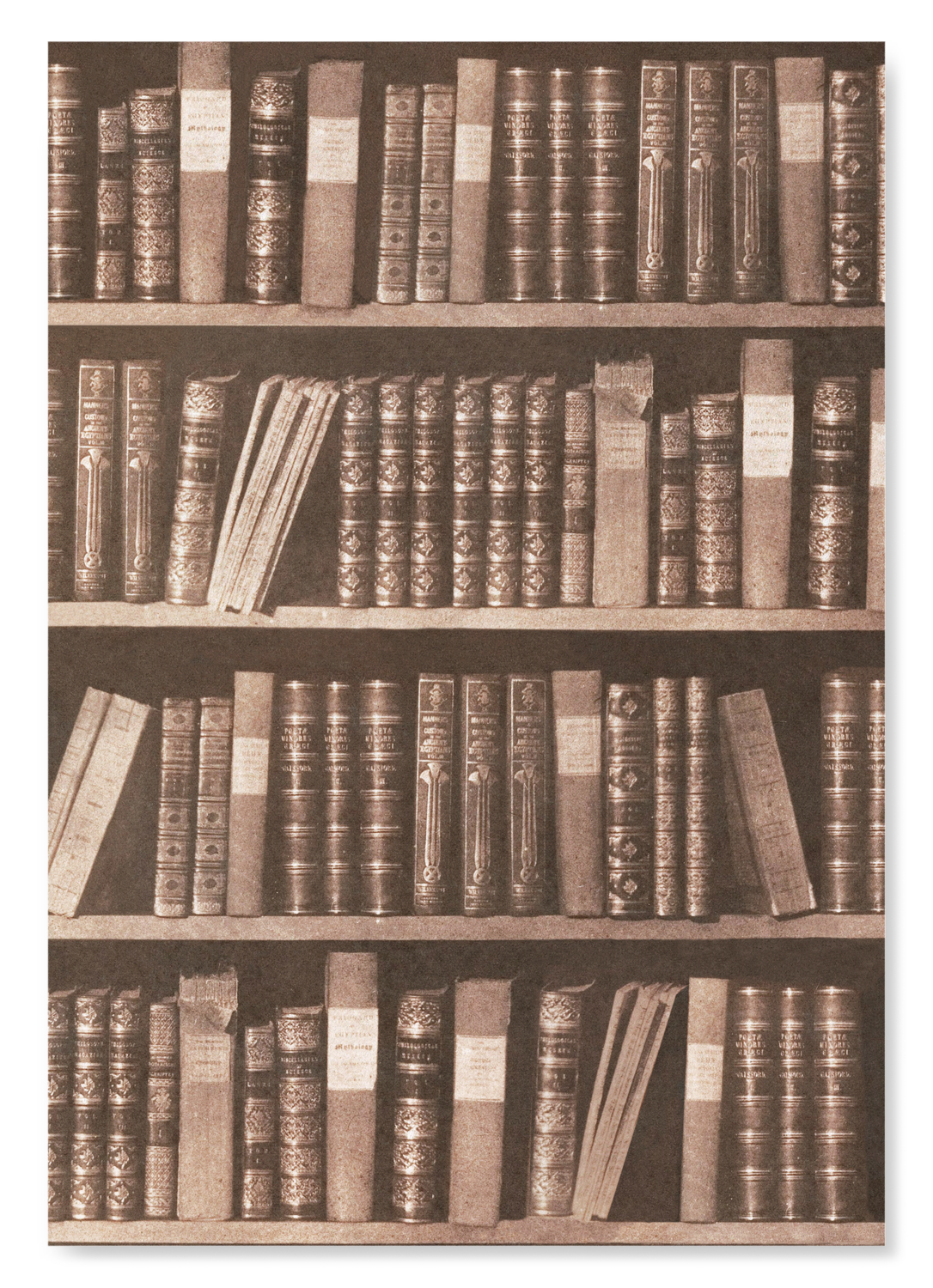 SCENE IN A LIBRARY (C.1844): Photo Art Print