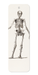 Ezen Designs - Skeletons (C.1830-C.1850) - Bookmark - Front