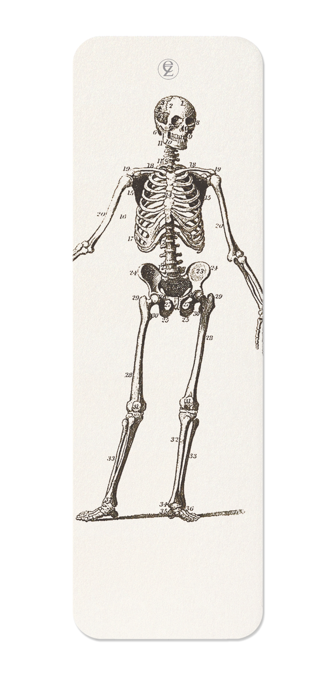 Ezen Designs - Skeletons (C.1830-C.1850) - Bookmark - Front