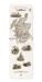 Ezen Designs - Scotland (1851) - Bookmark - Front