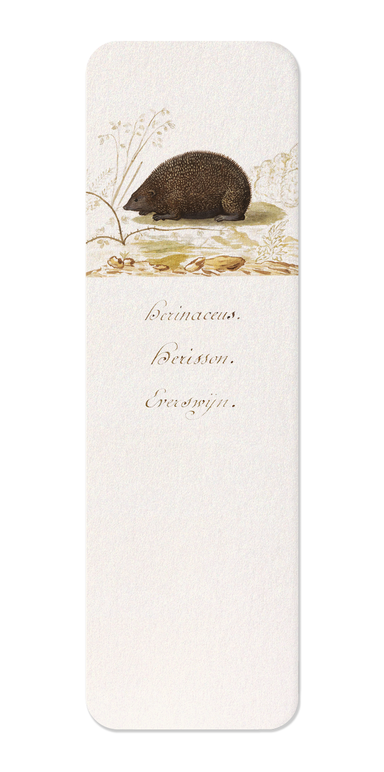 Ezen Designs - Hedgehog (1596–1610) - Bookmark - Front