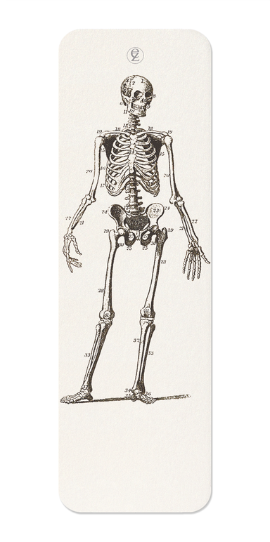 Ezen Designs - Skeletons (C.1830-C.1850) - Bookmark - Front