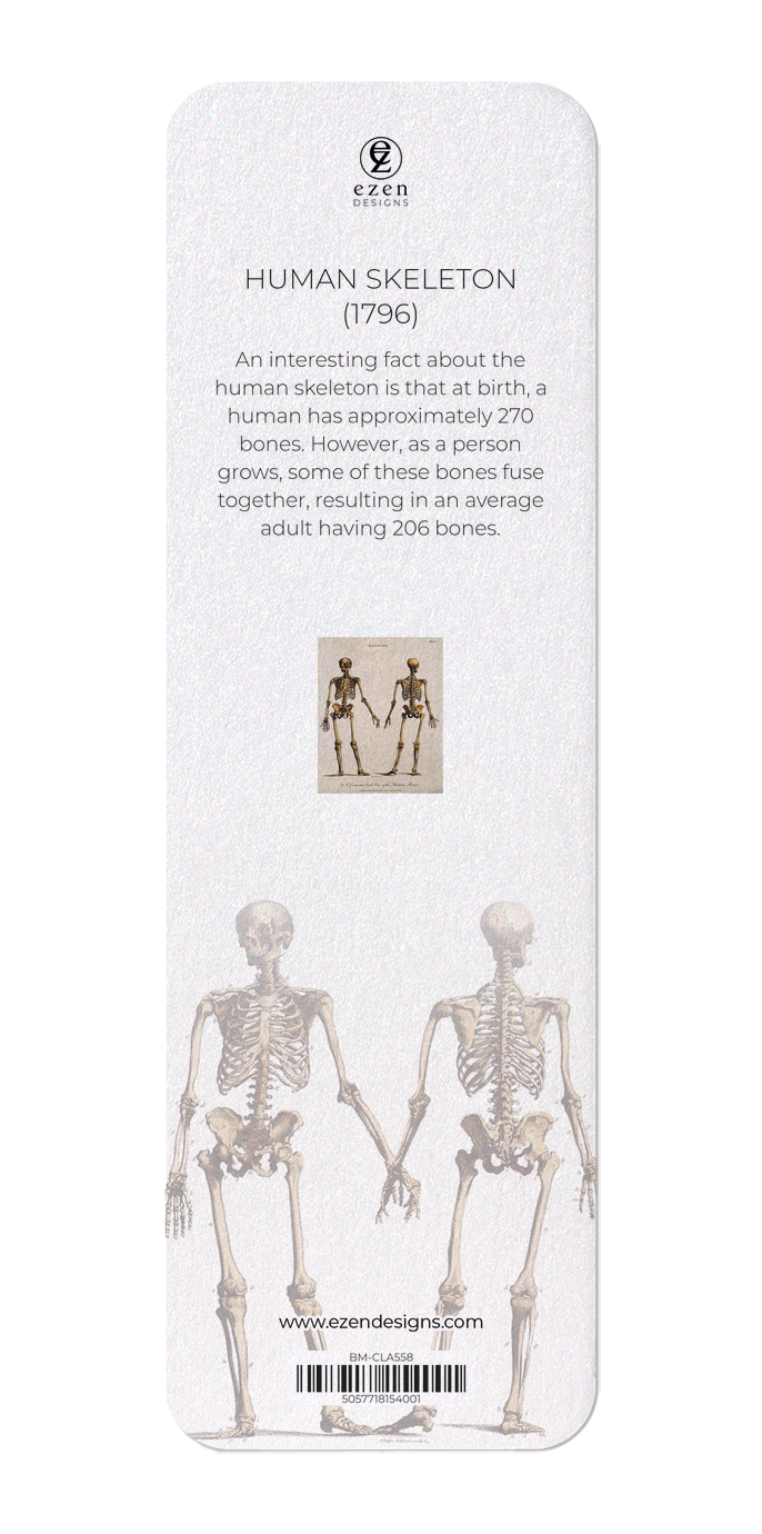 Ezen Designs - Human skeleton (1796) - Bookmark - Back