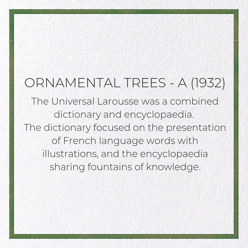 ORNAMENTAL TREES - A (1932): Painting Greeting Card