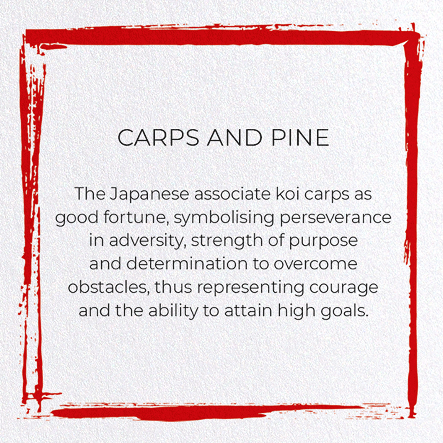 CARPS AND PINE: Japanese Greeting Card