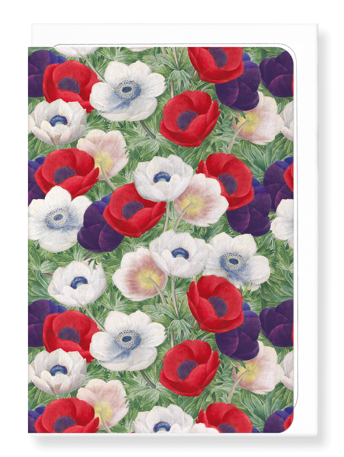 Ezen Designs - Anemone - Greeting Card - Front