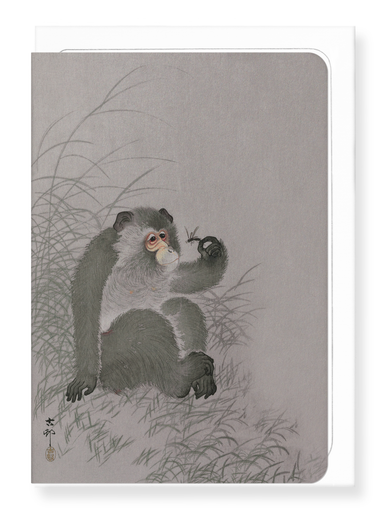 Ezen Designs - Monkey with insect (TEST) - Greeting Card - Front