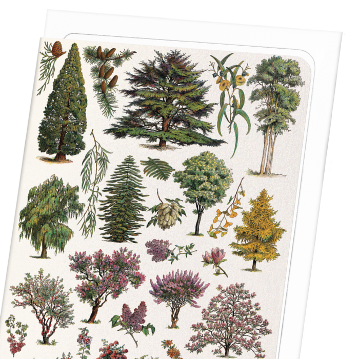 ORNAMENTAL TREES - A (1932): Painting Greeting Card