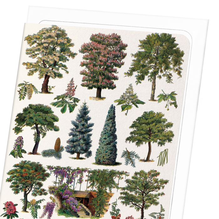 ORNAMENTAL TREES - B (1932): Painting Greeting Card