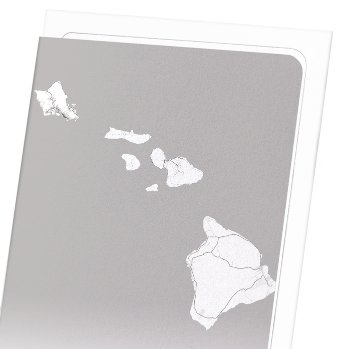 HAWAII FULL MAP: Map Full Art Print