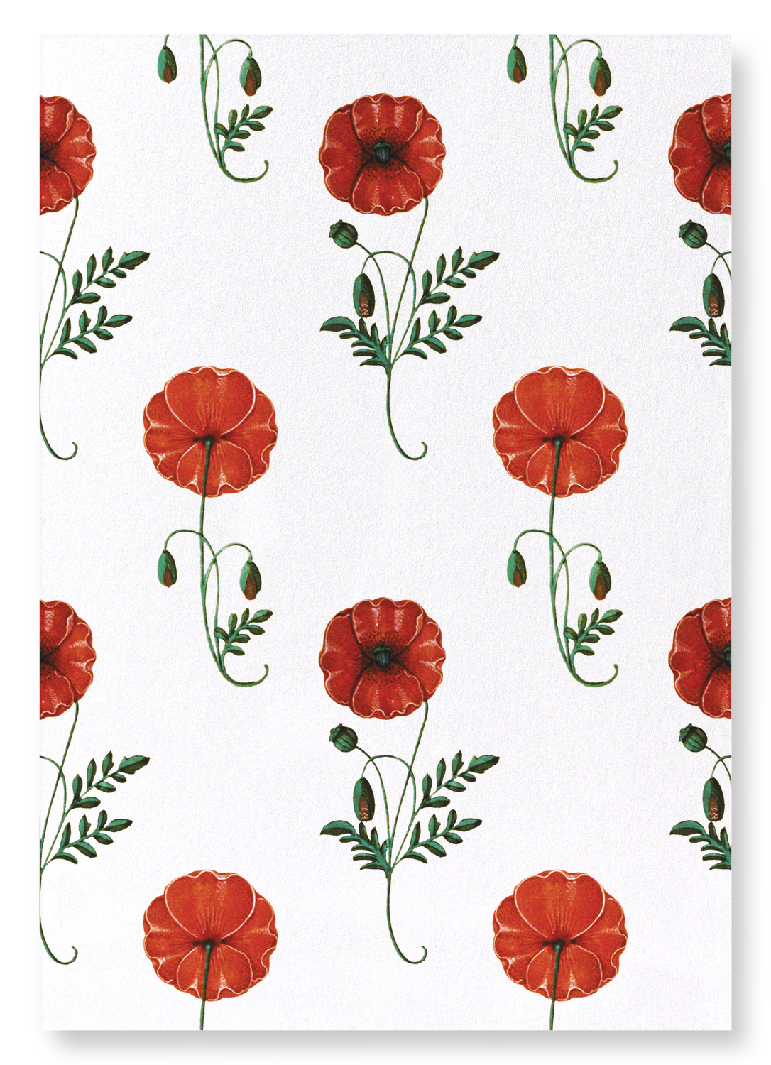 RED POPPIES (C.1520): Pattern Art Print