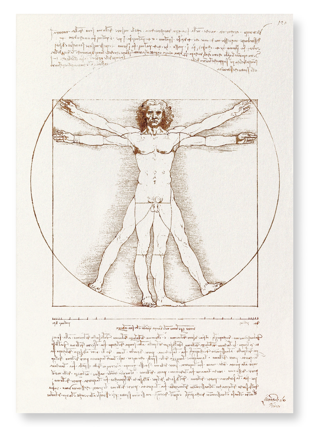 VITRUVIAN MAN (C.1490): Painting Art Print